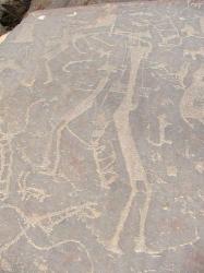 arabie-saoudite-petroglyphe.jpg
