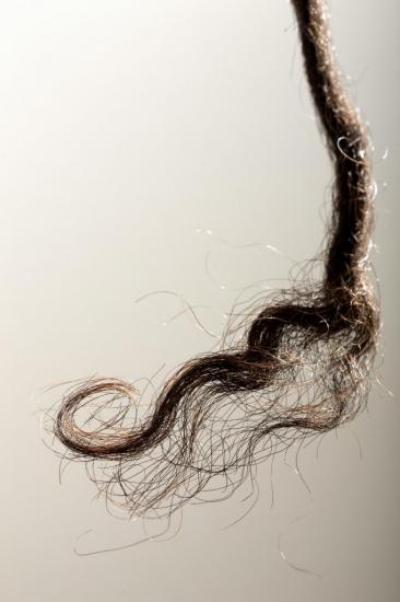 meche-cheveux-aborigenes.jpg