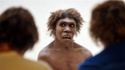neandertal-homme.jpg