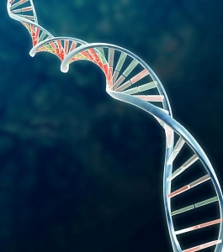 ADN Extra-terrestre sur Terre et dans l'Homme