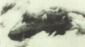 ararat-anomaly-1949-closeup.jpg