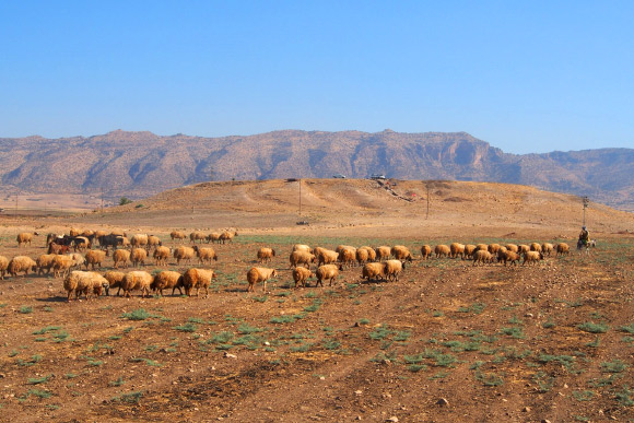 Bassetki bronze age city
