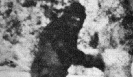 Le Bigfoot refait parler de lui