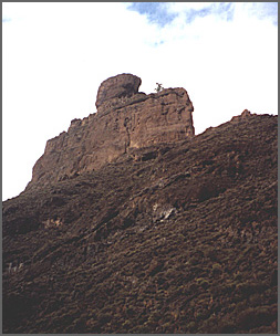 Les mystérieuses Canaries