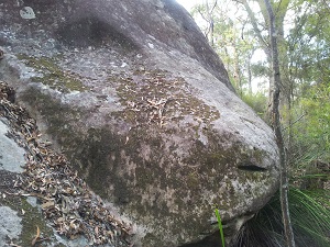 Australie : La Grotte de l'orb