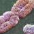 Une plus ancienne branche génétique du chromosome Y découverte