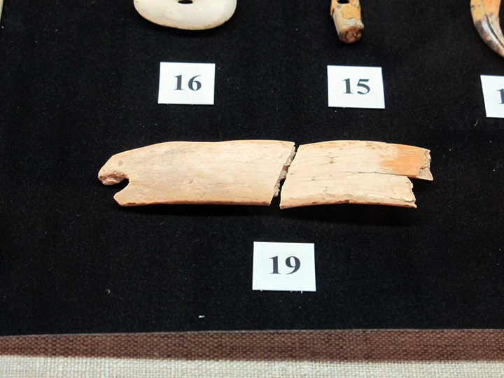 Denisova diadememammouth3
