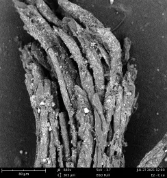 E2 c cu0003