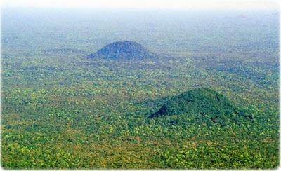 Floresta amazonia