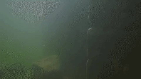 Fuxian lake structures