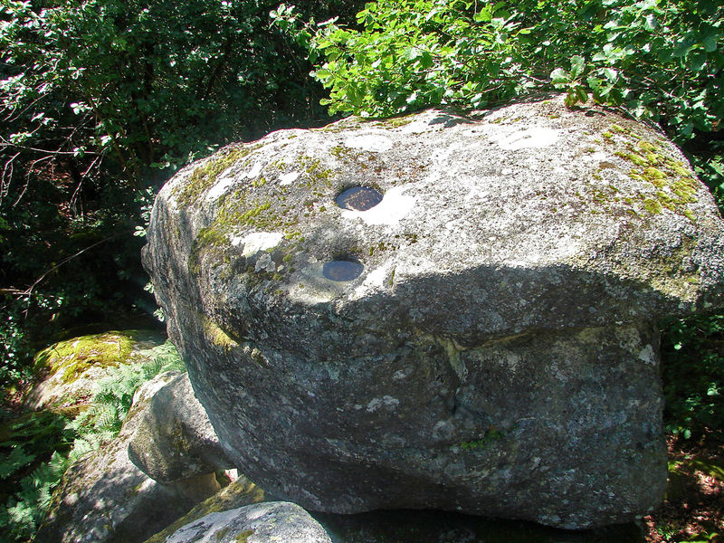 Ginich grenouille1