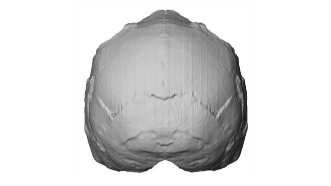 Plus ancien homme moderne trouvé hors d'Afrique : 210000 ans