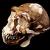 Homo Erectus plus sophistiqué que prévu