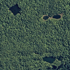 Amazone : Païtiti cernée ?