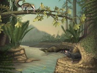 La théorie de Darwin non confirmée
