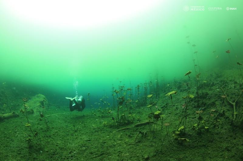 Mexique cenote1