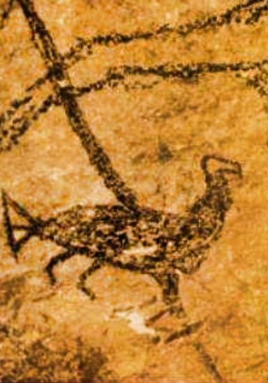 N zelande 4000ans
