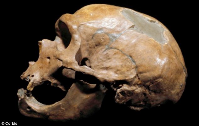 Des analyses ADN des Néandertaliens et Denisoviens révèlent une autre espèce inconnue