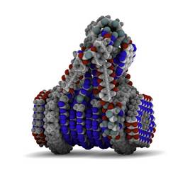 Les nanotechnologies
