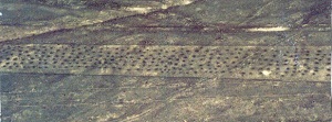 Une inscription phénicienne sur un plateau de Nasca, Pérou