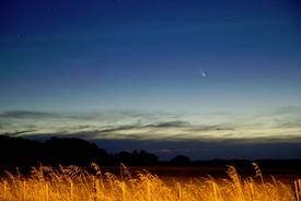 Comment observer Panstarrs, la comète visible à l’œil nu