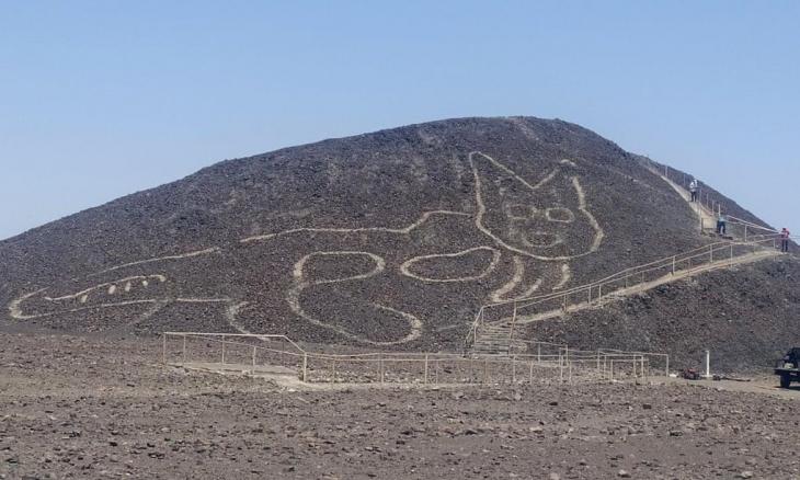 Perou lechatsauvage 2200ans nasca