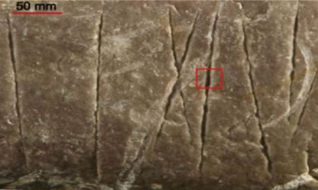 Neandertal était un marin graveur mais Erectus aussi bien avant !