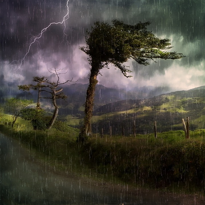 Pluie vent arbres cc0free