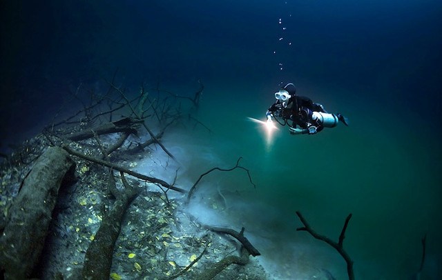 Yucatan : une rivière sous-marine cachée au fond du cénote Angelina