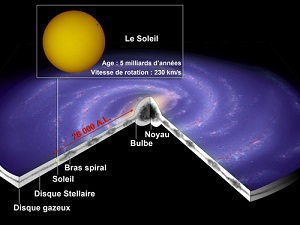 Cycles d'extinctions sur Terre : la théorie Matière Noire