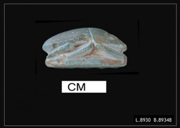 Tel rehov israel 3500ans scarabeegrave 1