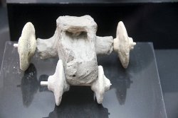 Un jouet en pierre équipé de roues daté de 7500 ans en Turquie
