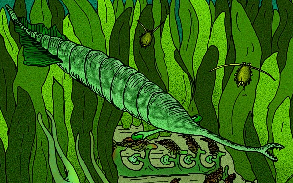 Le fossile Tullimonstrum devient encore plus mystérieux