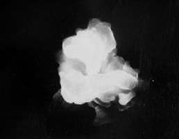 tunguska-microsphere2s.jpg