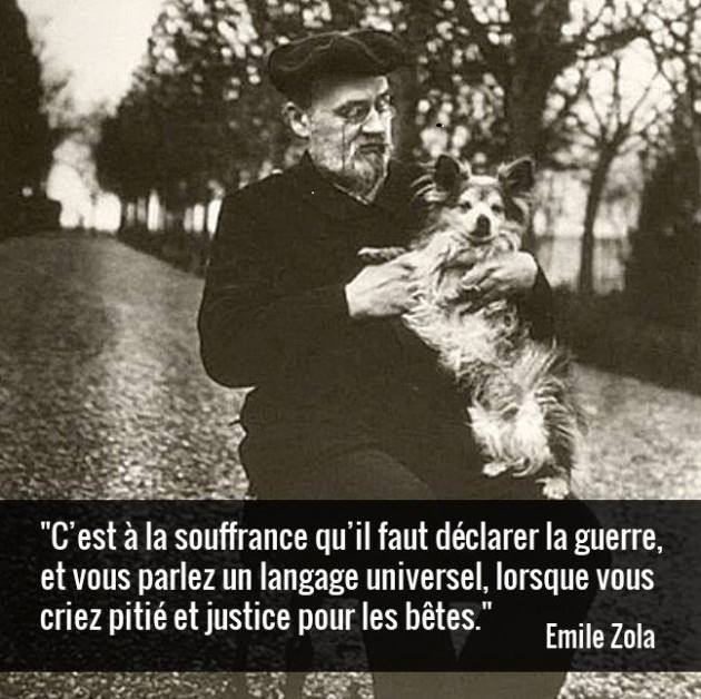 Zola2